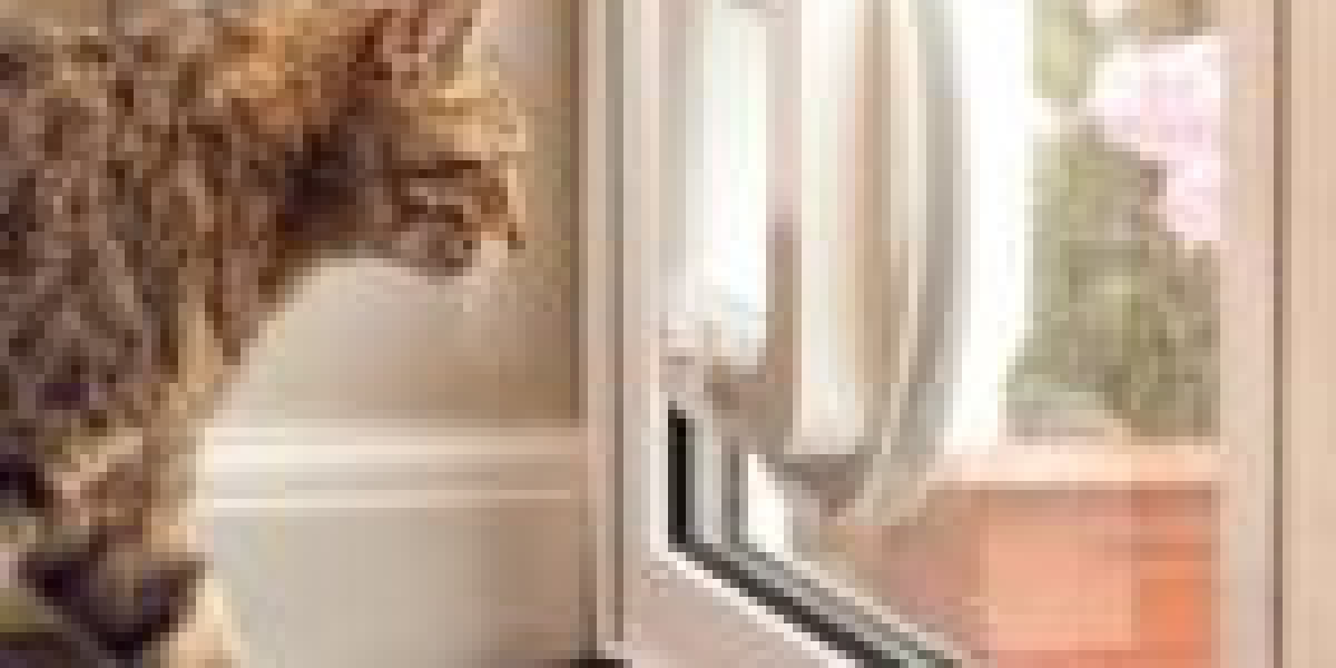 Do You Know How To Explain Cat Door Installation To Your Mom