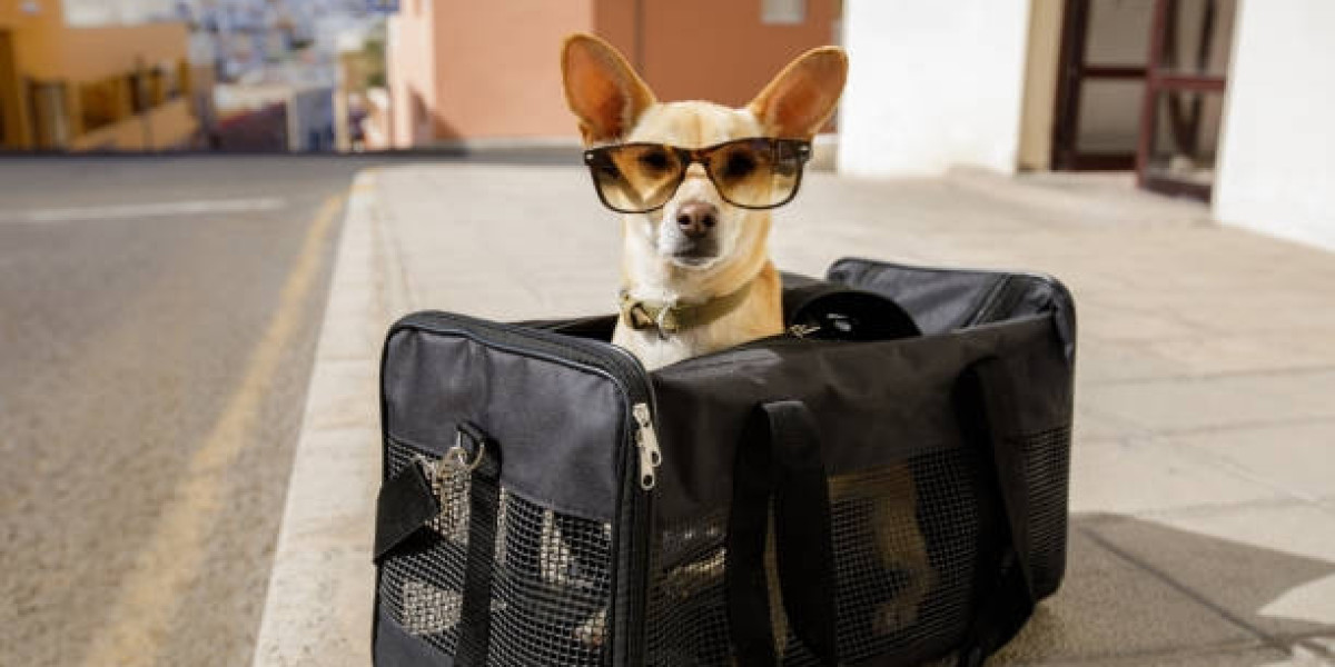 The Ultimate Comfort: Choosing the Right Carrying Sling for Dogs