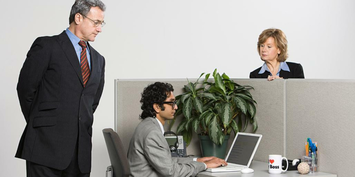 Professional Dissertation Writing Service in Australia