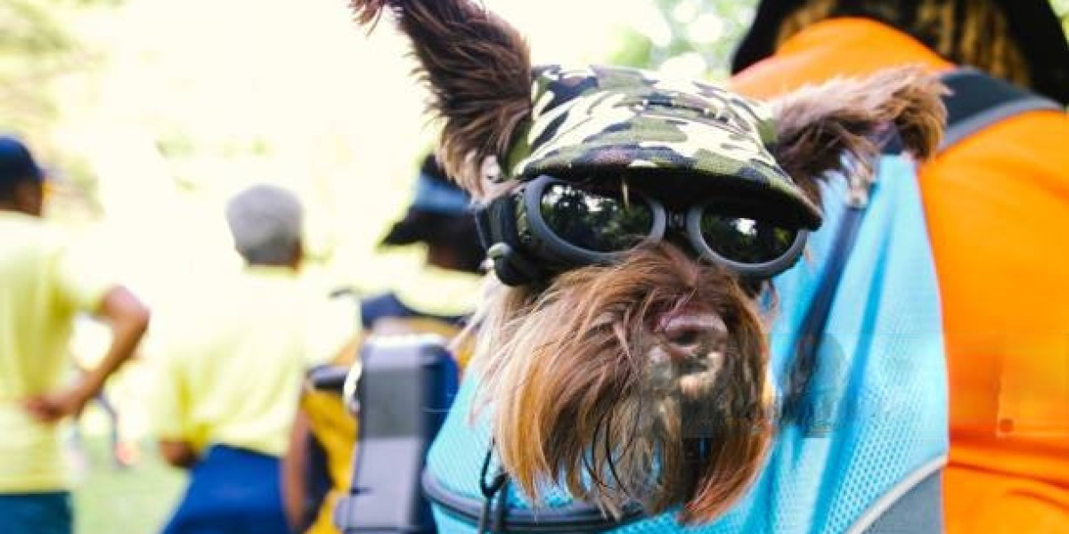Stay Hands-Free and Close with a Small Dog Sling