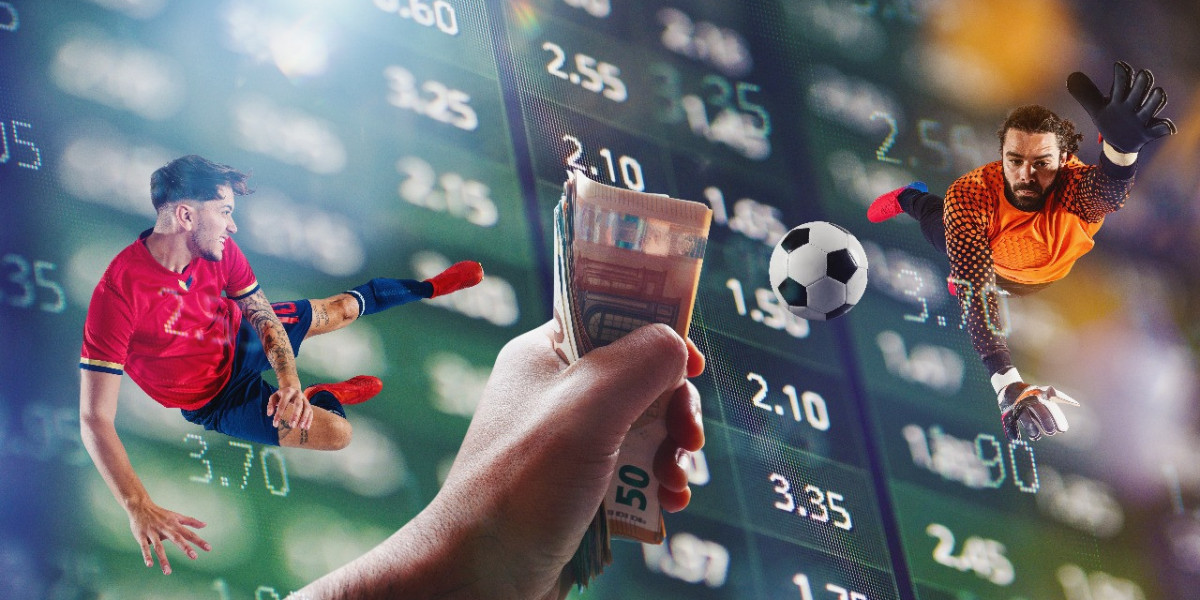 White Label vs. Custom Sportsbook: Which Is Right for Your Betting Business?