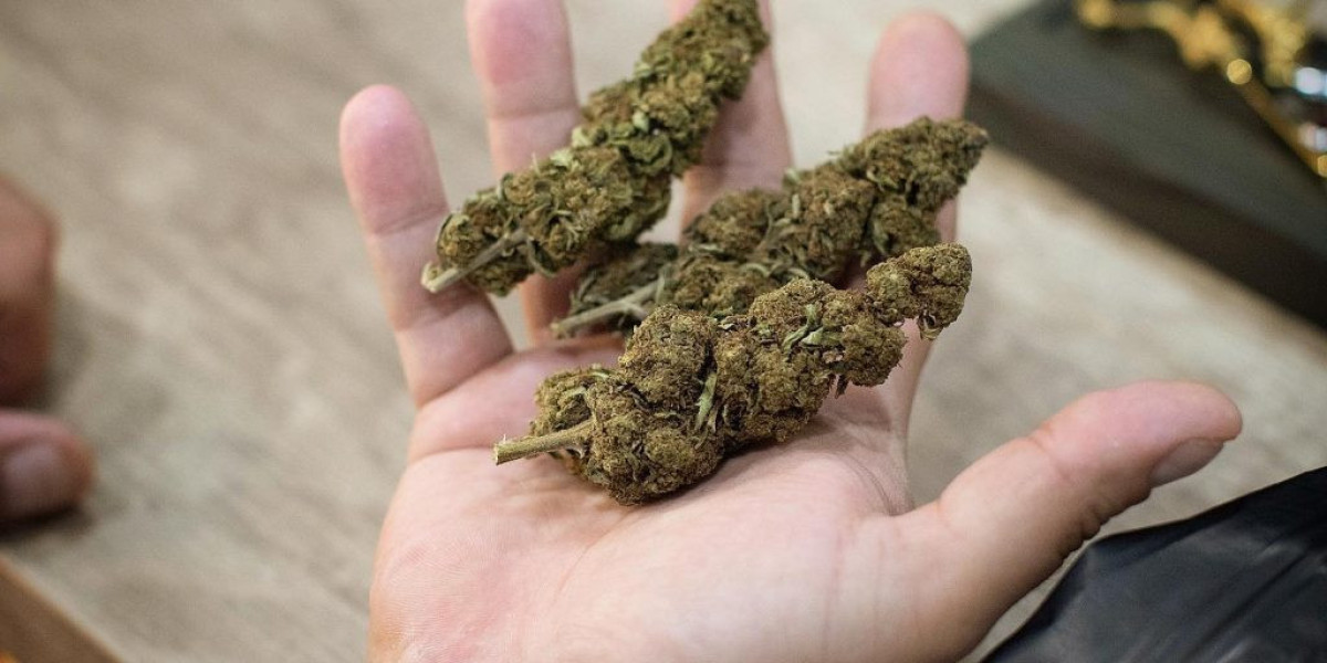 Découvrez comment le CBD à Royan améliore votre bien-être naturellement
