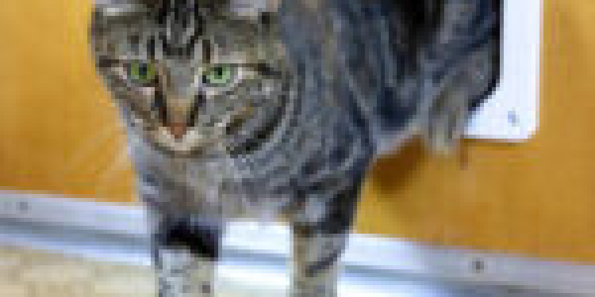 Are You Getting The Most You Best Cat Flap Installer?