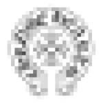chrome hearts beanie