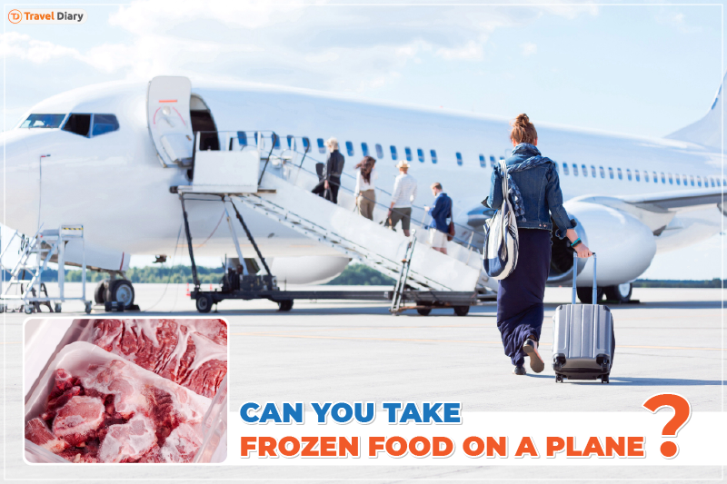 Can You Take Frozen Food on a Plane?