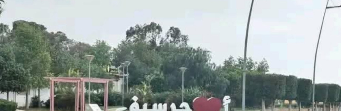 محمد السديري
