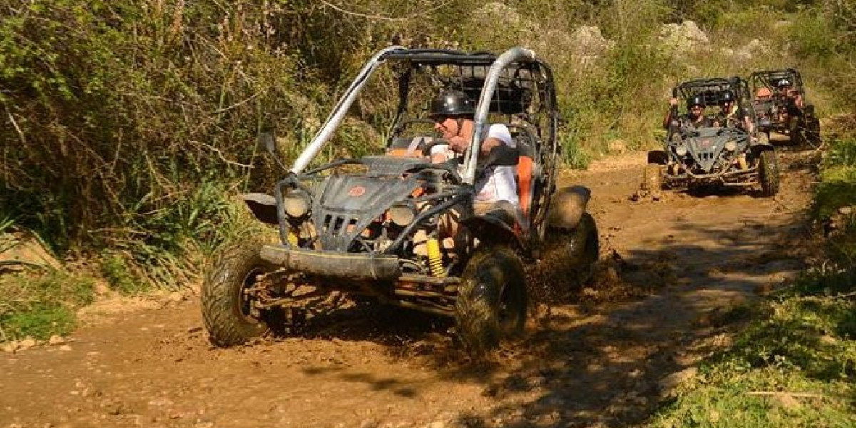 Why Buggy Tours Are Perfect for Desert Wildlife Enthusiasts in Dubai