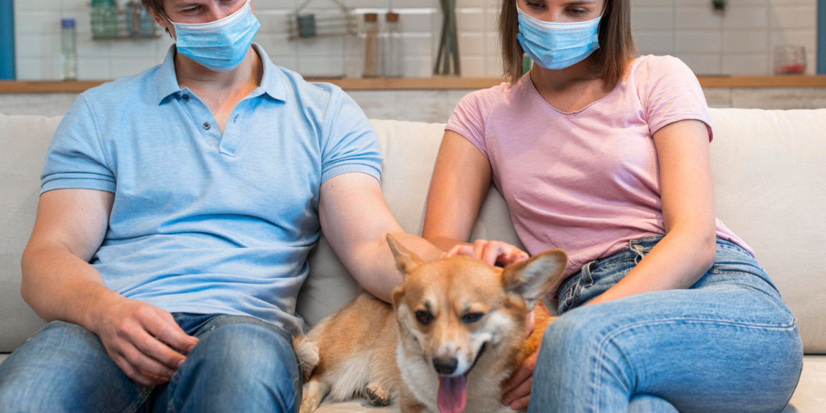 Safest Flea And Tick Collar For Dogs