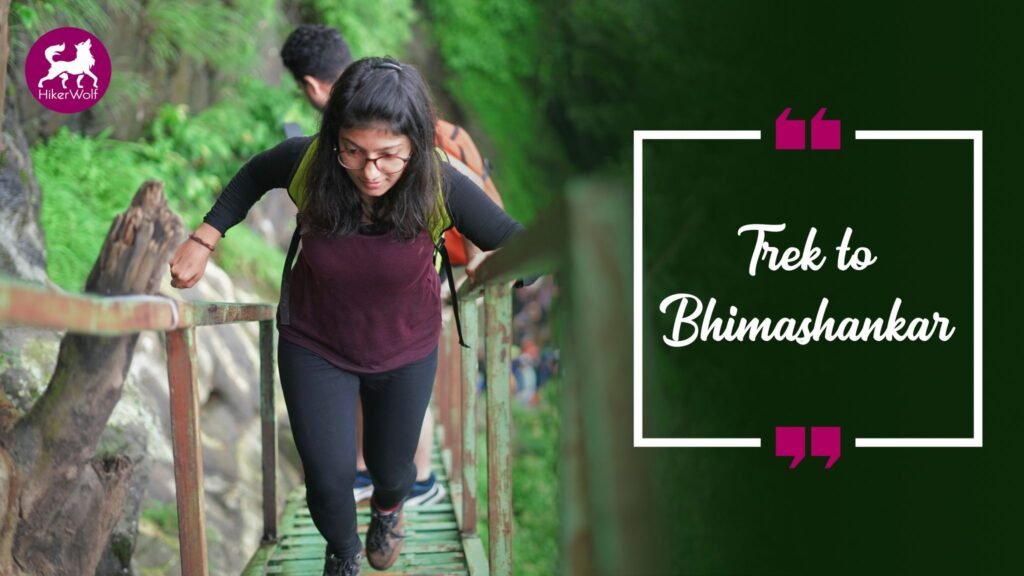 Adventure-Packed Bhimashankar Trek Packages | Nature Trails & Weekend Treks