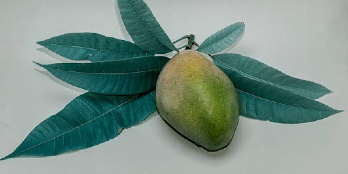 Mango Leaf Uses: Traditional Remedies for Modern Health
