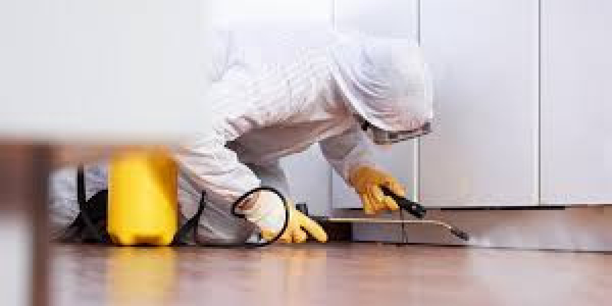 Eco-Friendly Pest Control Methods for Modern Homes
