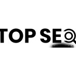 topseo services