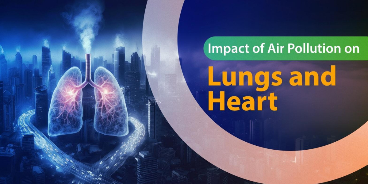 Understanding-the-impact-of-air-pollution-on-lungs-and-heart