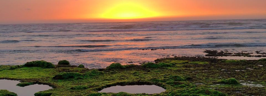 Maria Alami Cover Image