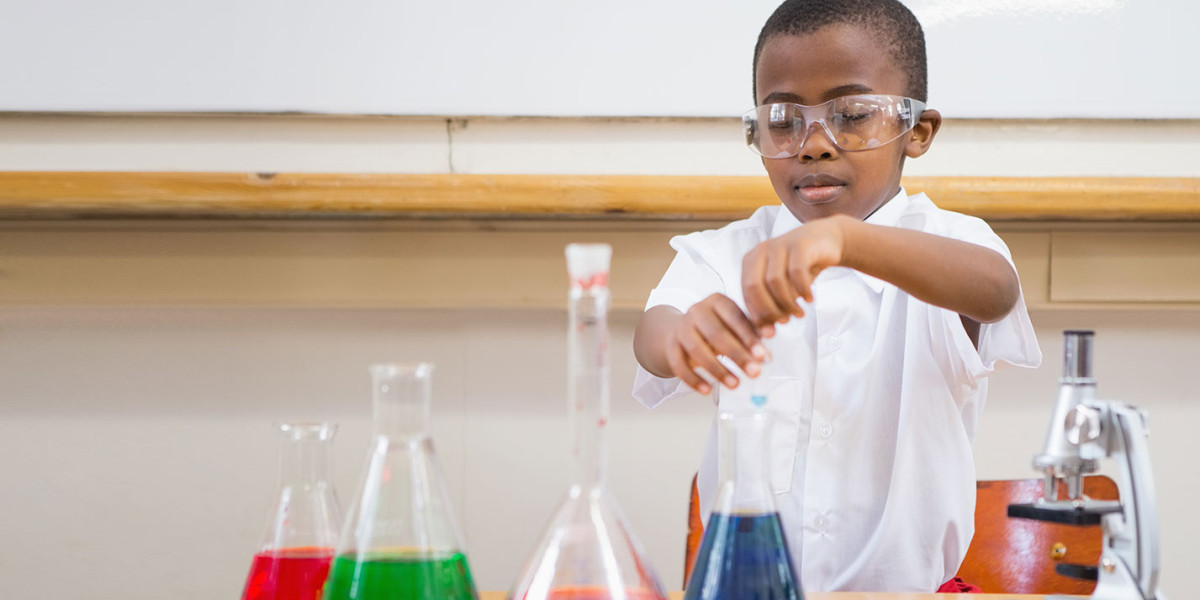 Science Workshop for Kids Activities That Inspire Young Minds