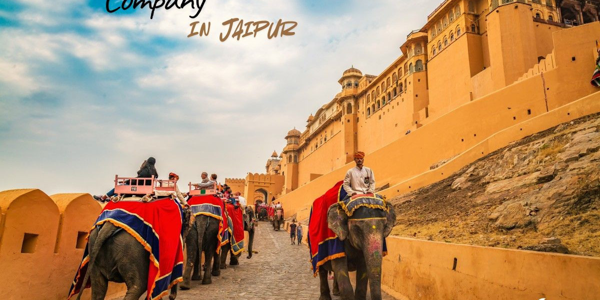 How an Ecommerce Development Company in Jaipur Helps Businesses Scale Online