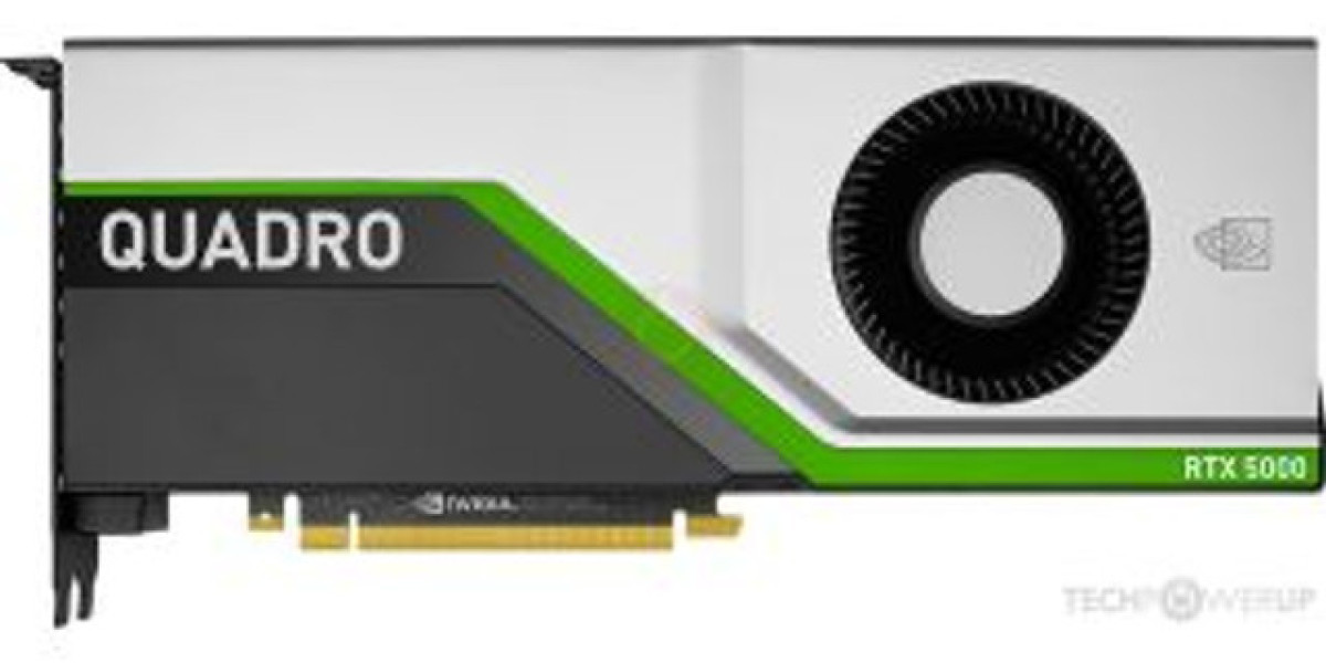 Power on a Budget: Exploring the Best Affordable Graphic Card Options