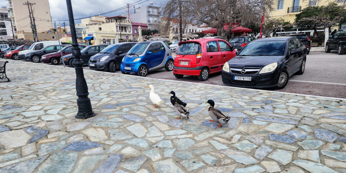 Luxury vs Affordable Houses for Sale in Rhodes: Which Is Right for You?