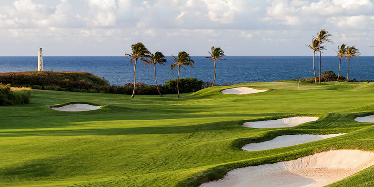 Edisto Beach rentals: Understanding Tides, Beaches, and Daily Coastal Changes